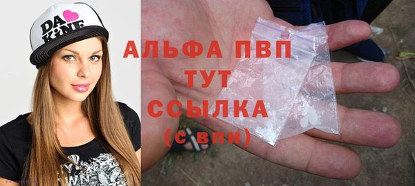 apvp Алексин